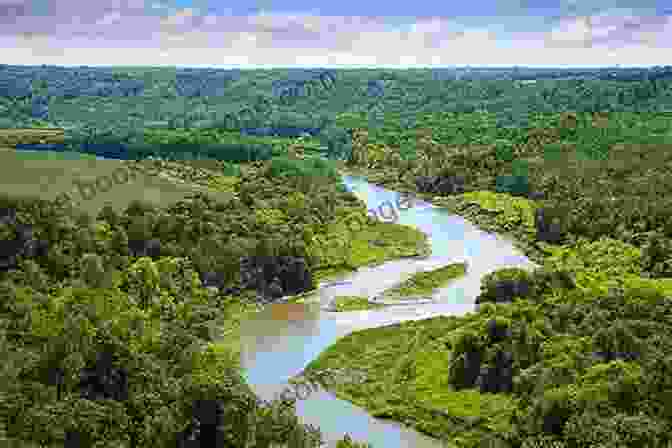 A Lush Green Forest, With Tall Trees And A Winding River Running Through It. Up The Strait (Coastal British Columbia Stories 3)