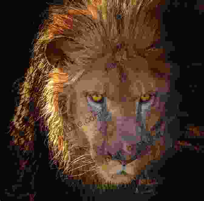 A Majestic Golden Lion With A Flowing Mane, Representing Aslan From C.S. Lewis's The Chronicles Of Narnia. Cosmic Cats Fantastic Furballs: Fantasy And Science Fiction Stories With Cats