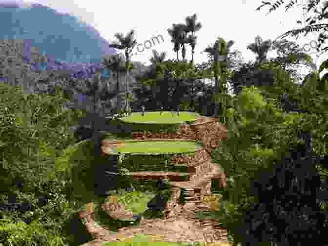 Ancient Ruins Of Ciudad Perdida, Colombia Insight Guides Colombia (Travel Guide EBook)