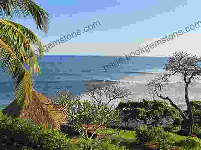 El Tunco Beach San Salvador Travel Guide: With 100 Landscape Photos