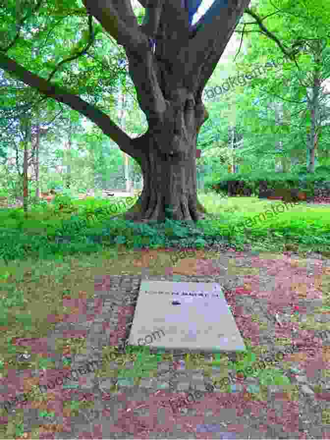 Image Of The Garden At Rungstedlund, Where Karen Blixen Is Buried SPROCKET MAQUETTES (sm 8) Isak Dinesen
