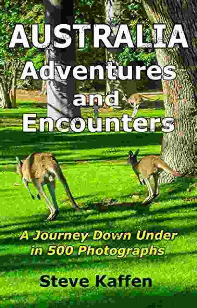 Steve Kaffen Leading A Tour Group In Australia Australia Adventures And Encounters Steve Kaffen
