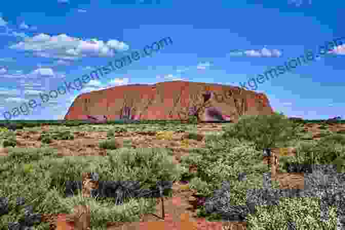 Steve Kaffen Standing In Front Of Uluru (Ayers Rock) Australia Adventures And Encounters Steve Kaffen