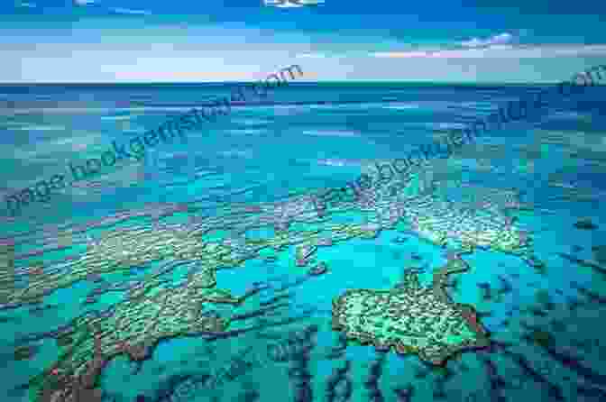 The Great Barrier Reef Is The World's Largest Coral Reef System. My Trip To Australia Tanav Patkar