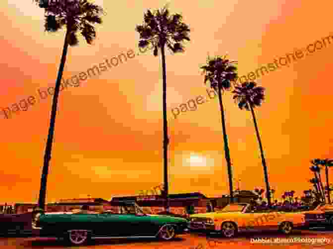 Vintage Photograph Of Key West In 1955, With Classic Cars And Palm Trees Key West And Cuba 1955: Adventures Of A Woman Traveling Alone