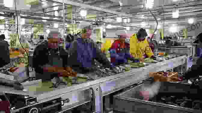 Workers In A Salmon Cannery, Surrounded By Crates Of Fish. Up The Strait (Coastal British Columbia Stories 3)